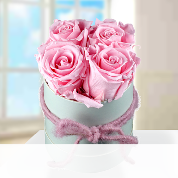 4 rosa haltbare Rosen in Hutschachtel