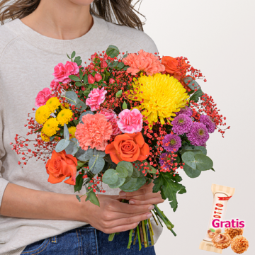 Blumenmix Autumn Grace