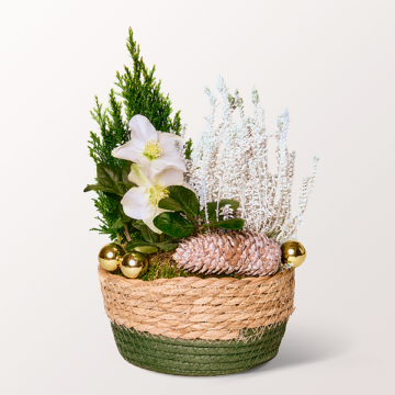 Christrosen Arrangement