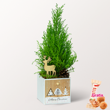Weihnachtsbaum Merry Christmas
