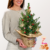 Weihnachtsbaum Wintertanz mit Lichterkette