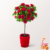 Rotes Rosenstämmchen