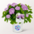 Ballhortensie ?Diva fiore? ®