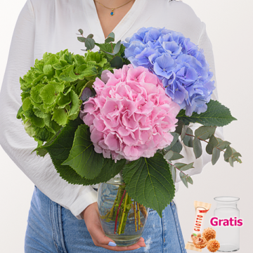 Traumhafte Hortensien mit Eukalyptus