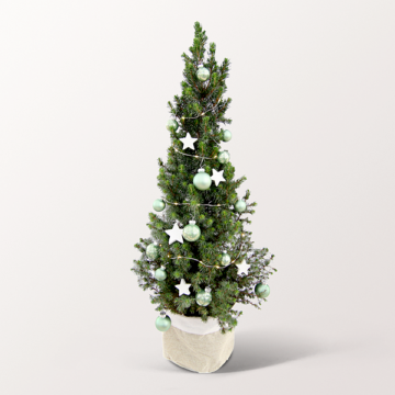 Weihnachtsbaum Sterntaler mit Lichterkette