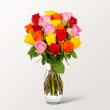 20er bunte Rosen im Bund